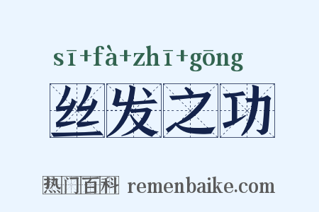 丝发之功是什么意思的图片